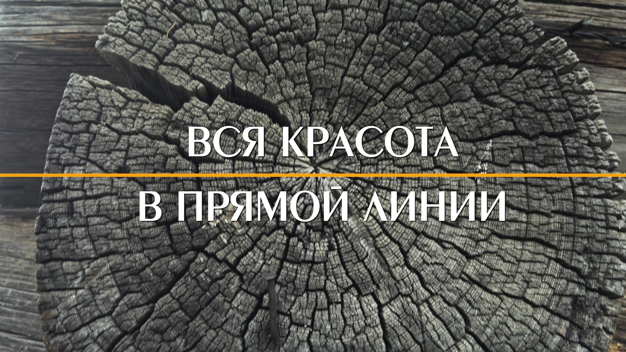 Вся красота в прямой линии