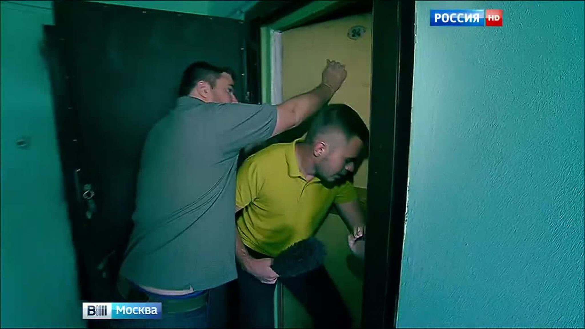 Волонтеры, приводящие в порядок квартиру, где жили 20 кошек, напали на журналиста