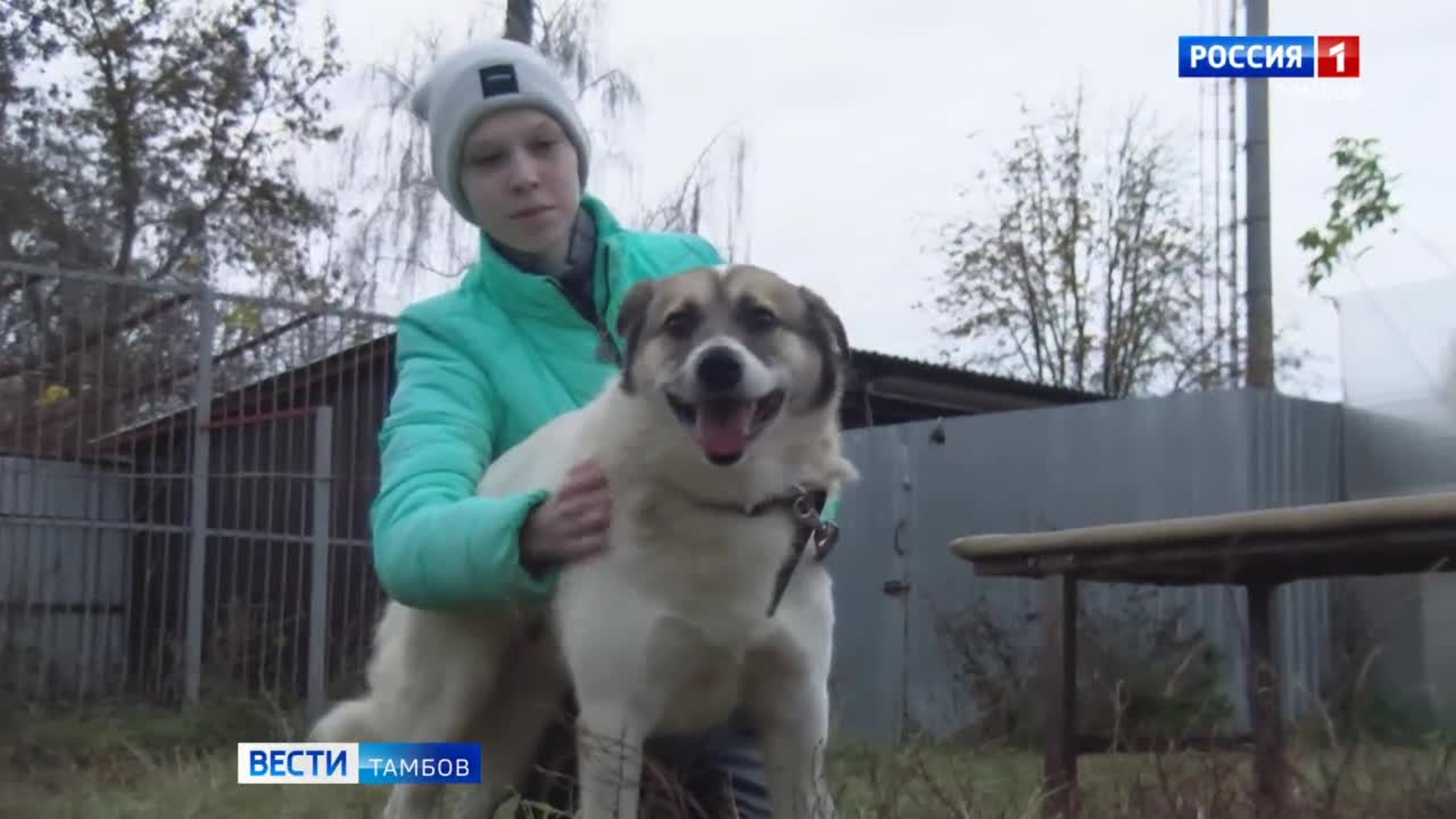В Тамбове откроют фотовыставку «Путь домой» с питомцами Центра «Доброе сердце»