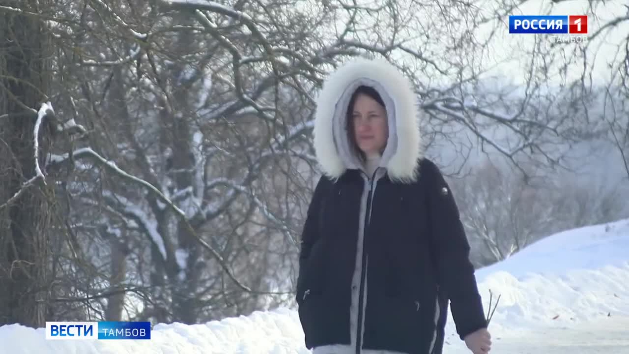 Без обильного снегопада и аномальных морозов: погода в Тамбове на ближайшие дни