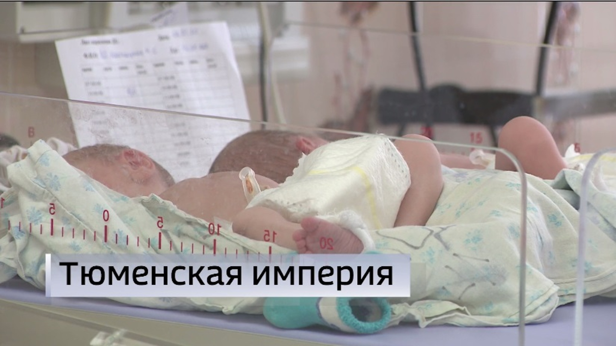 Цезарь и Сократ появились на свет в Тюмени в 2025 году