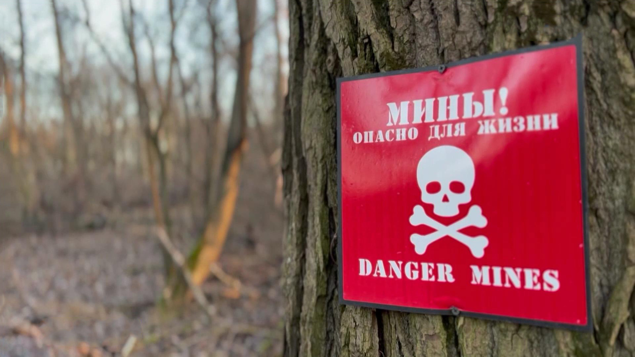 Военные инженеры очищают курское приграничье от последствий боев