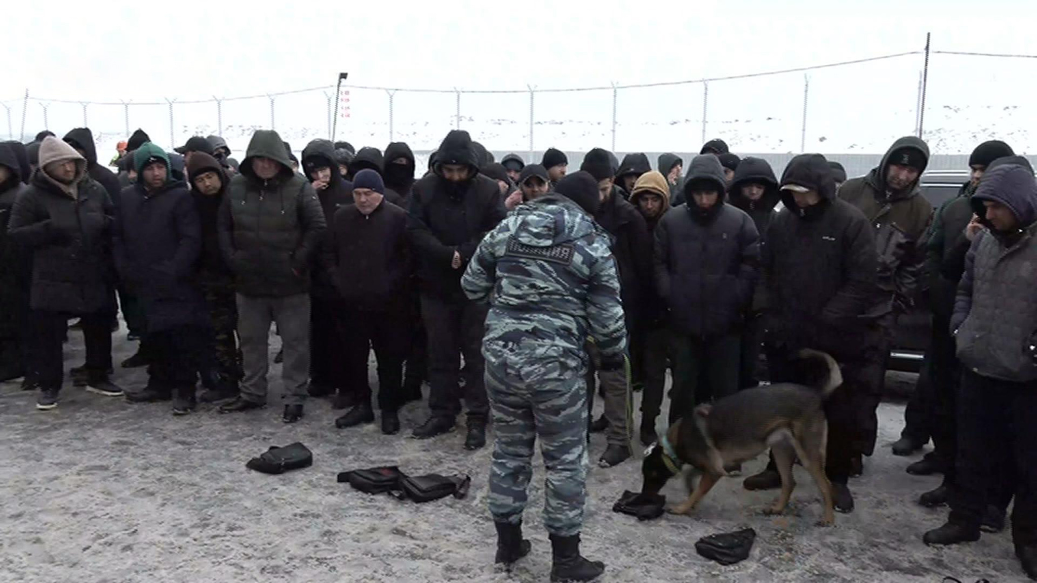 Полиция провела рейд на крупнейшей овощебазе в Петербурге