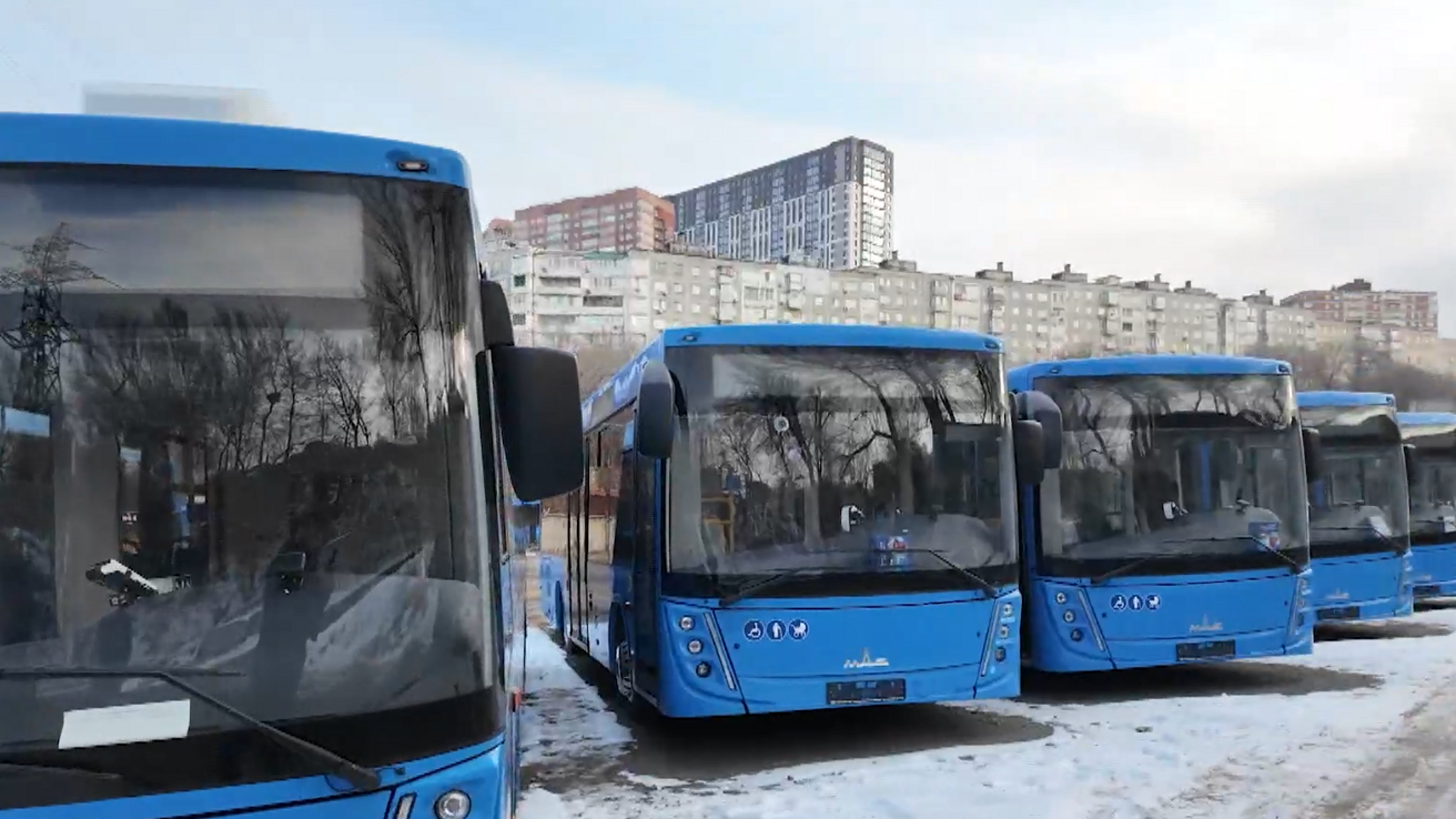 Партия новых автобусов из Беларуси выйдет на маршруты Владивостока