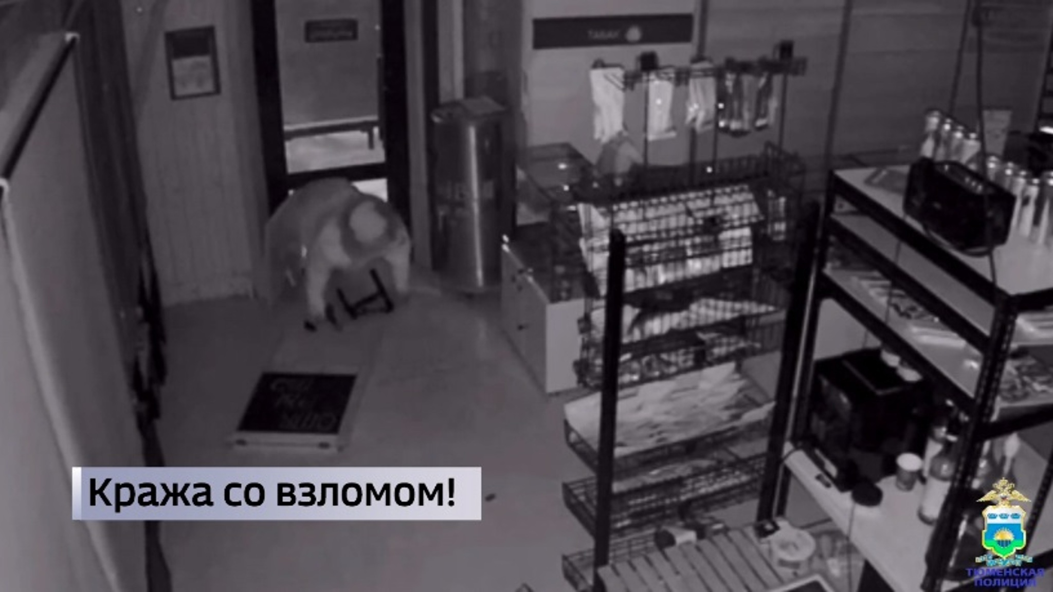 Похититель сигарет и орехов задержан в Тюмени