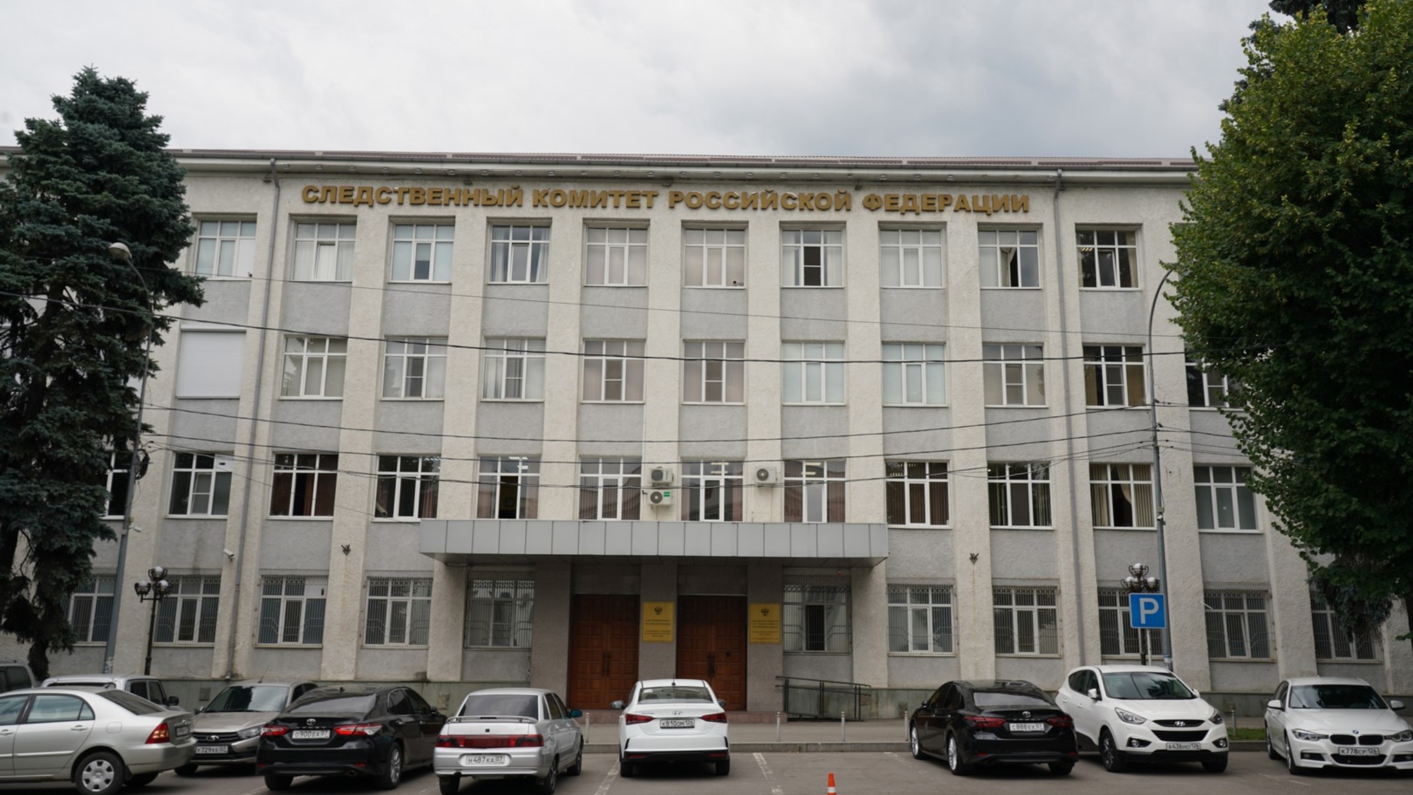 Незаконная вырубка елей в Нальчике привела к возбуждению уголовного дела о халатности