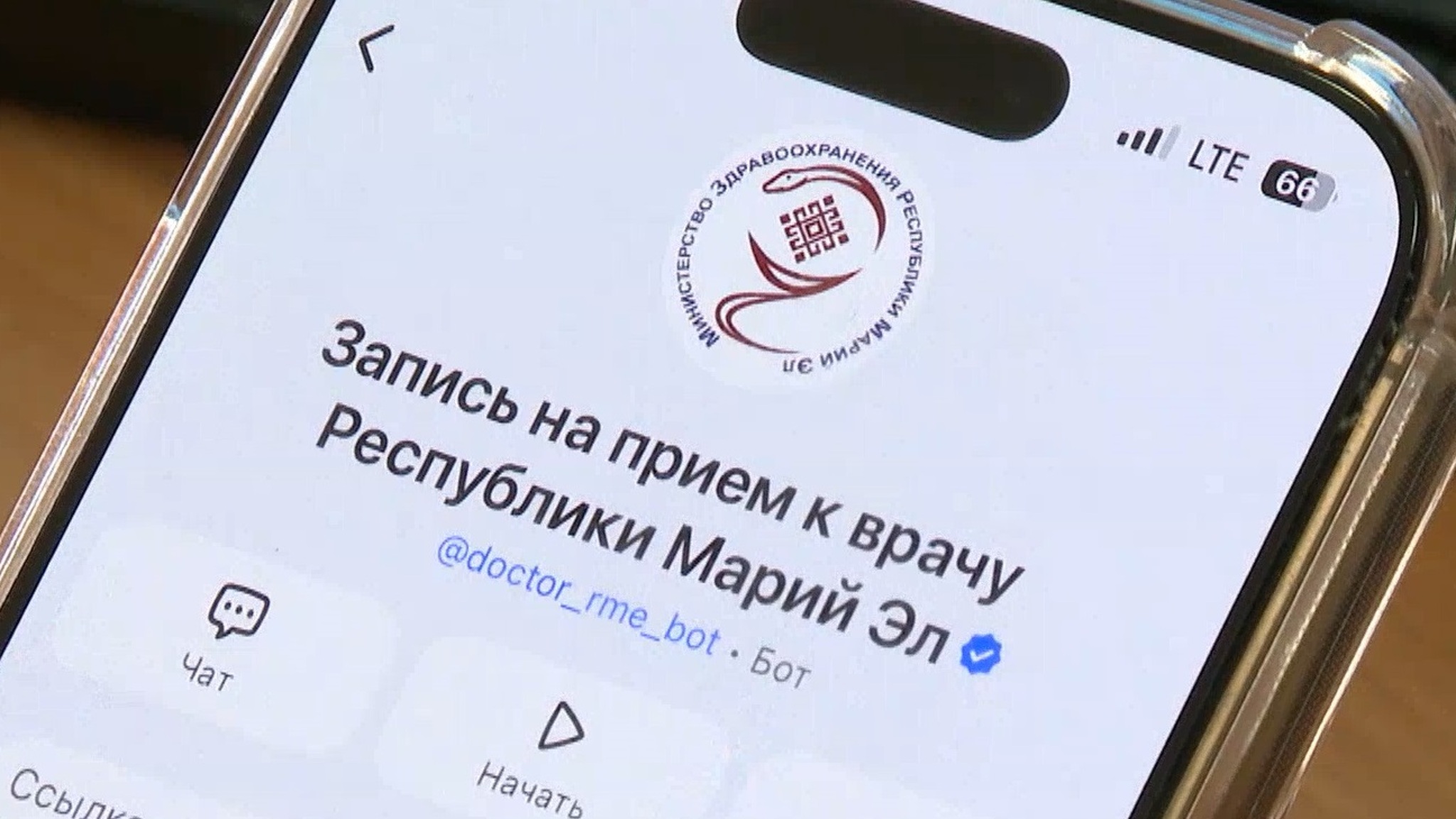 Более 22 тысяч записей к врачу через мессенджер MAX оформили жители Марий Эл