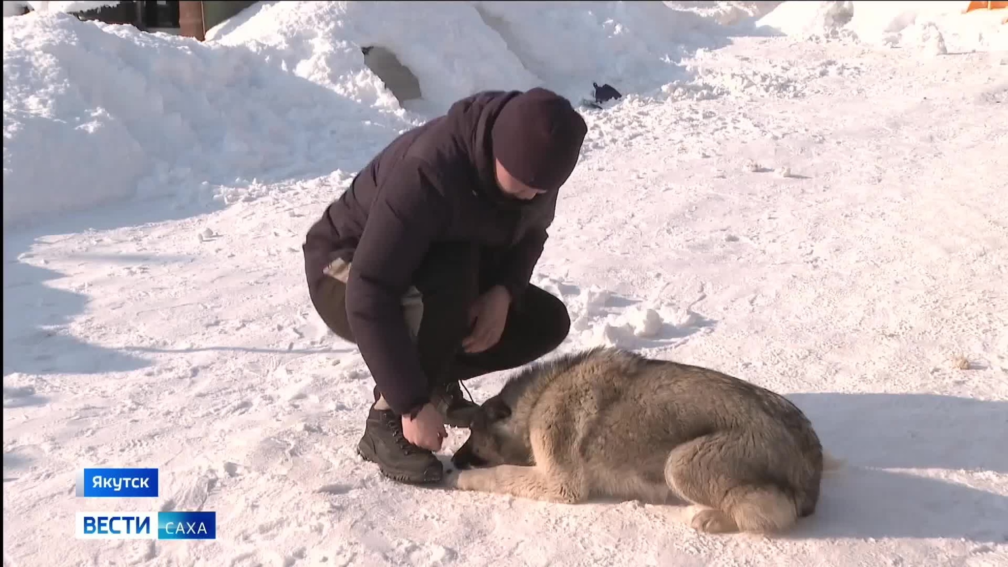 Эфир от 03.03.2026 (21:10)