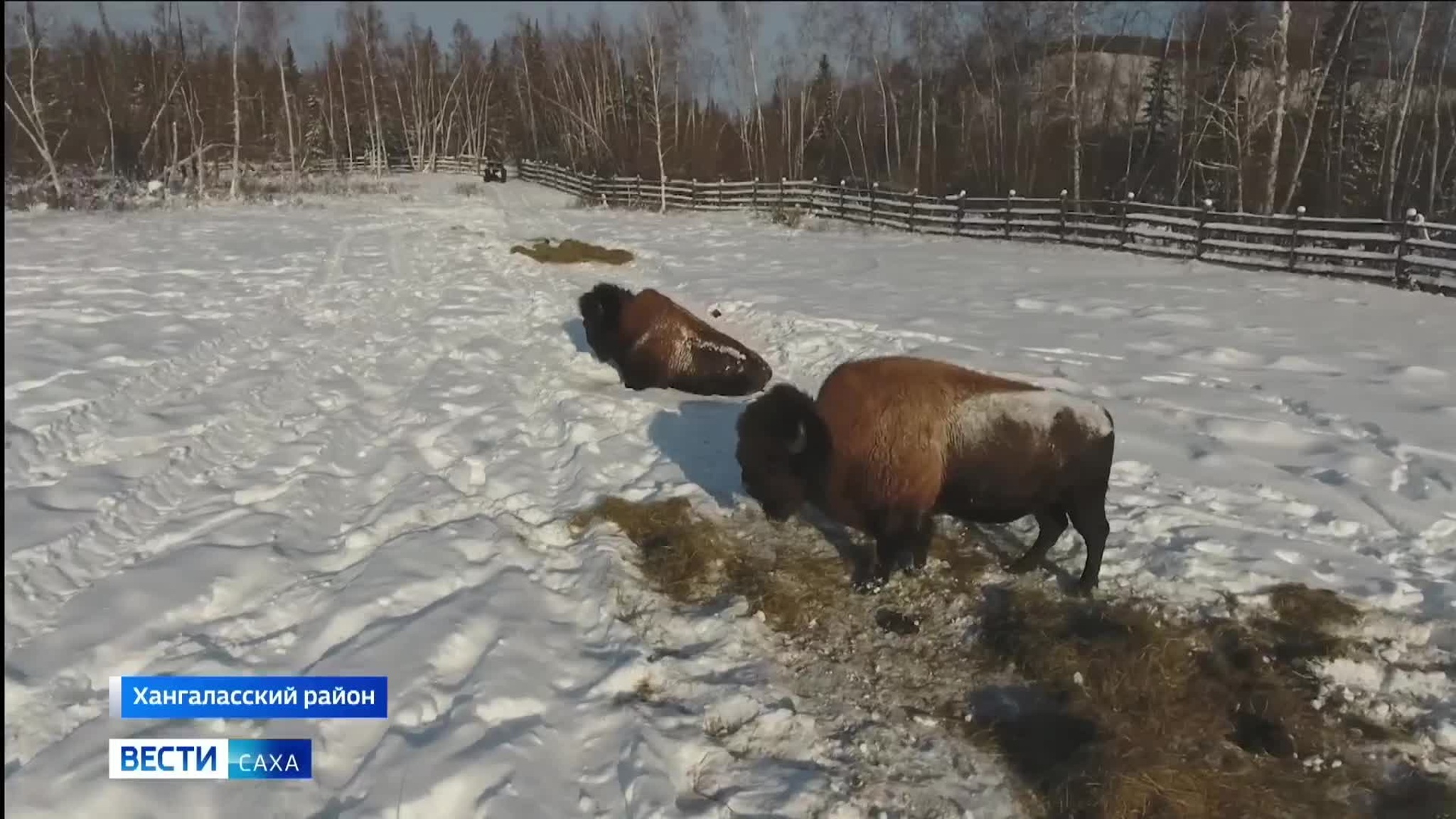 Эфир от 24.02.2026 (11:30)