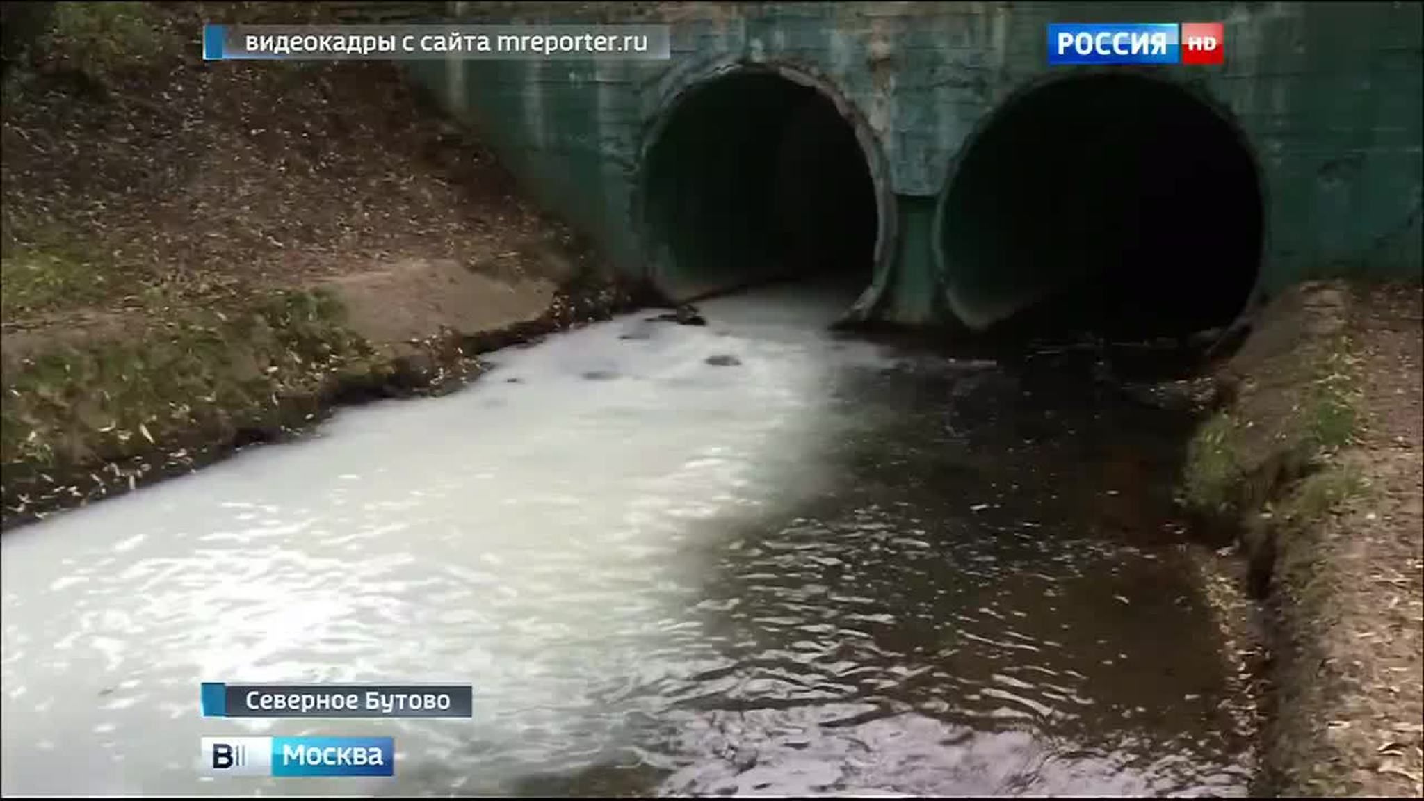 Река Битца отравлена неизвестным веществом