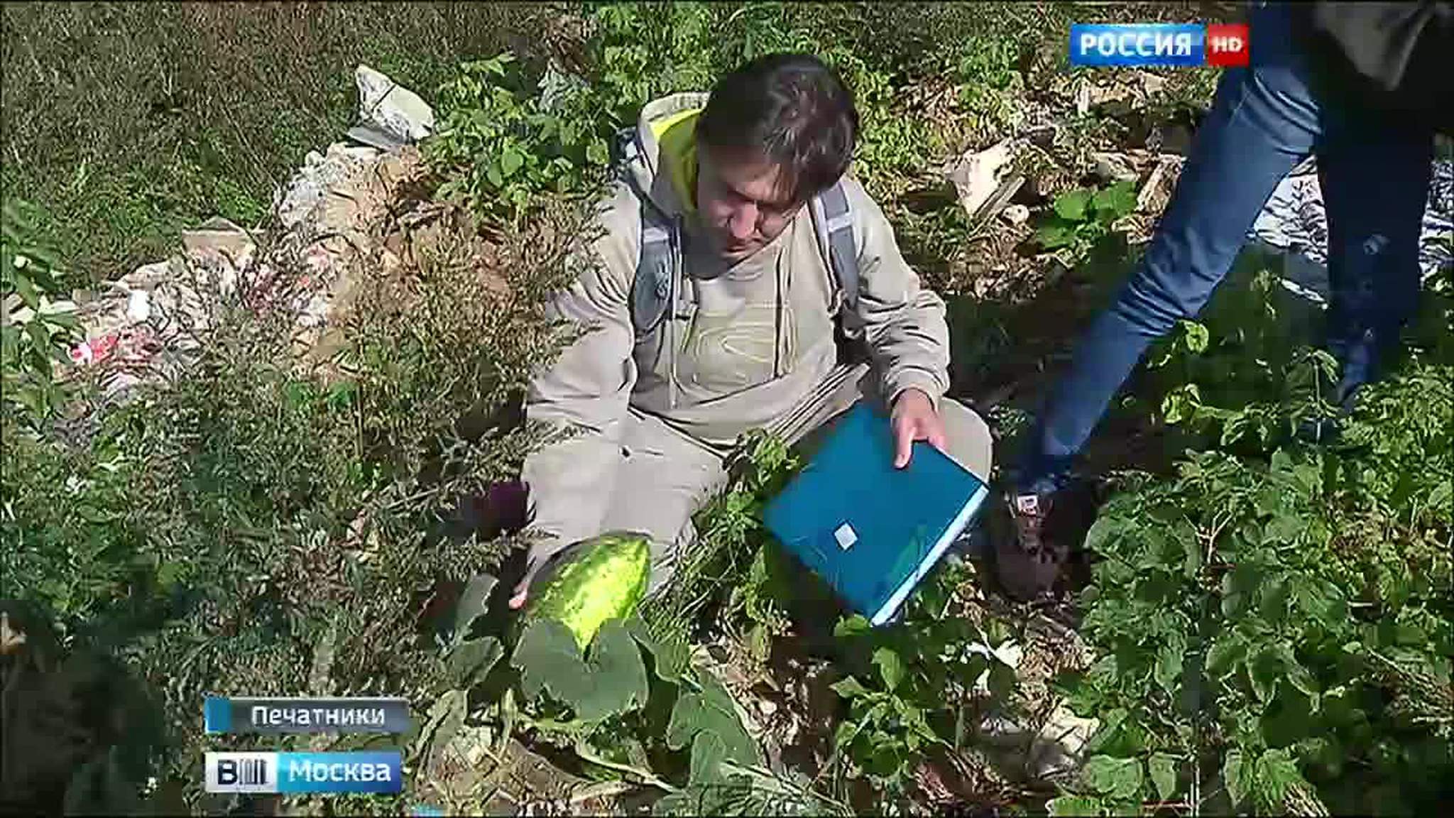 Мутанты на свалке: москвичей встревожили гигантские кабачки и помидоры