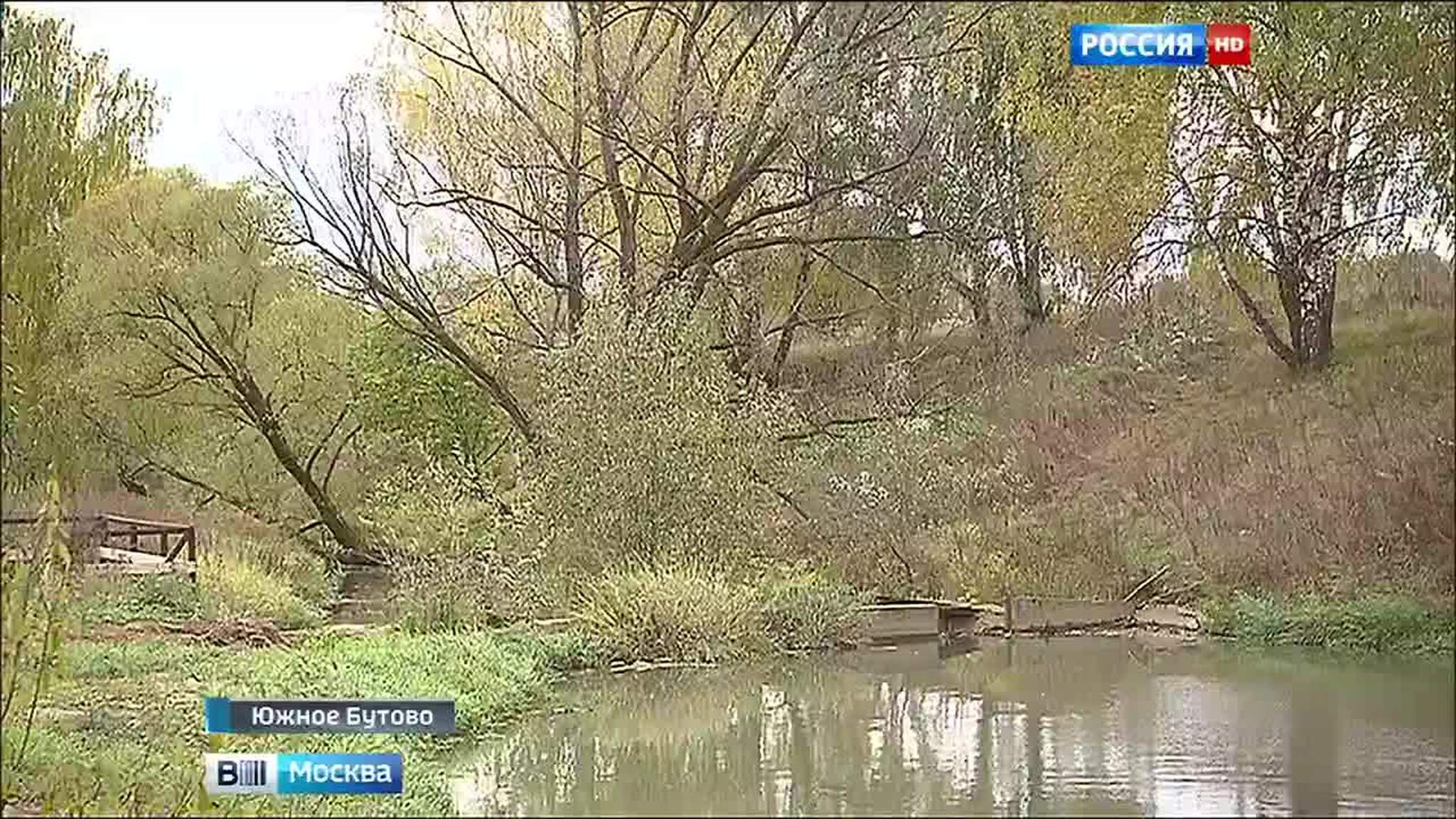 Кто хоронит Цыганку? В Новой Москве уничтожается пойма реки