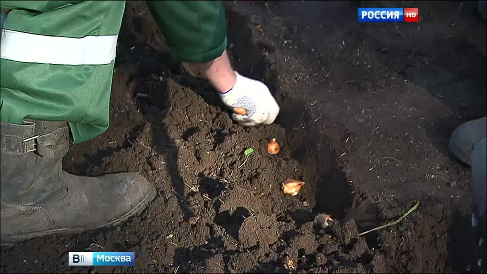 Мосзеленхоз подготавливает цветники к сезону-2016