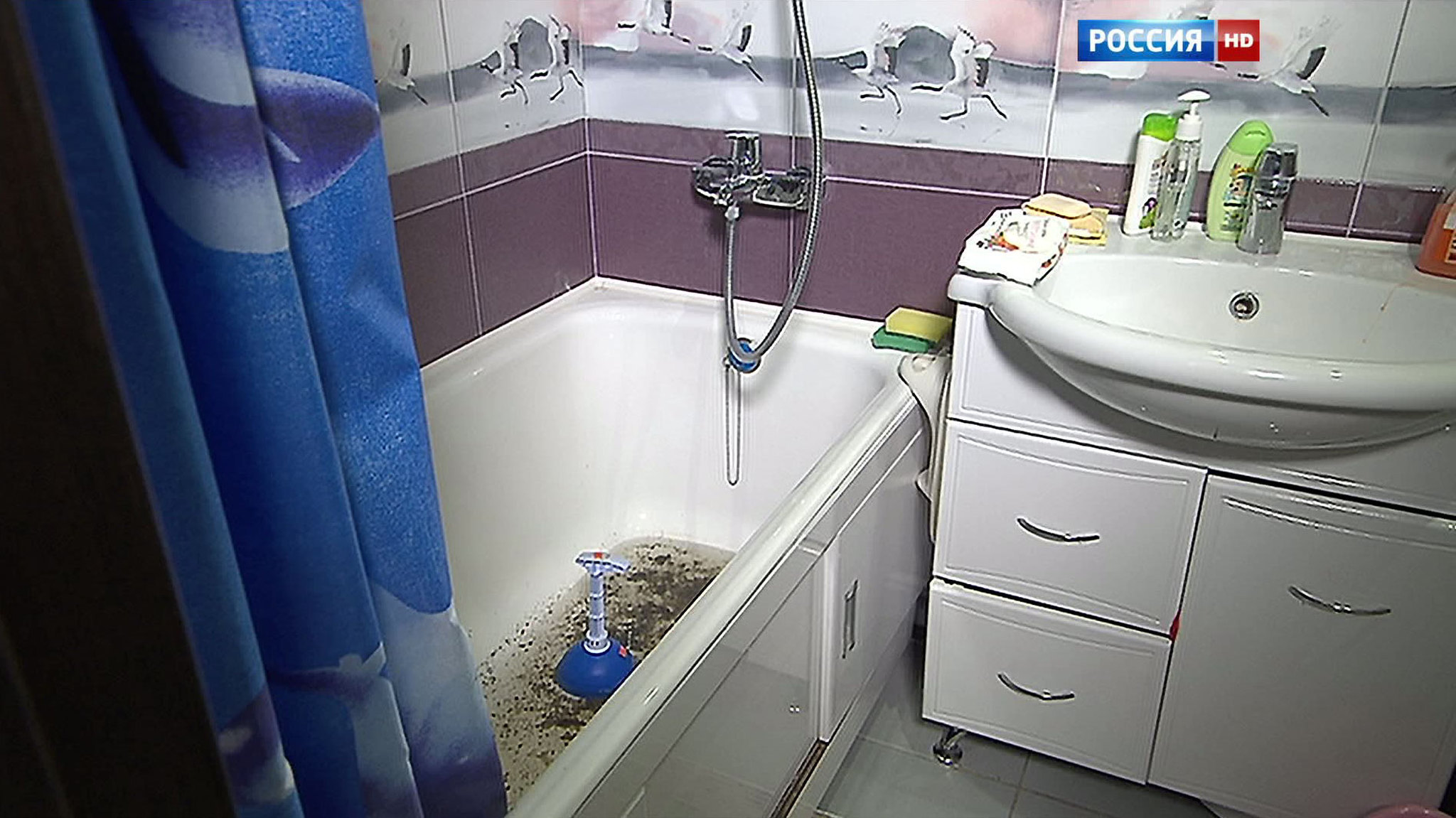 Перекрытая канализация превратила в ад жизнь одной из московских семей