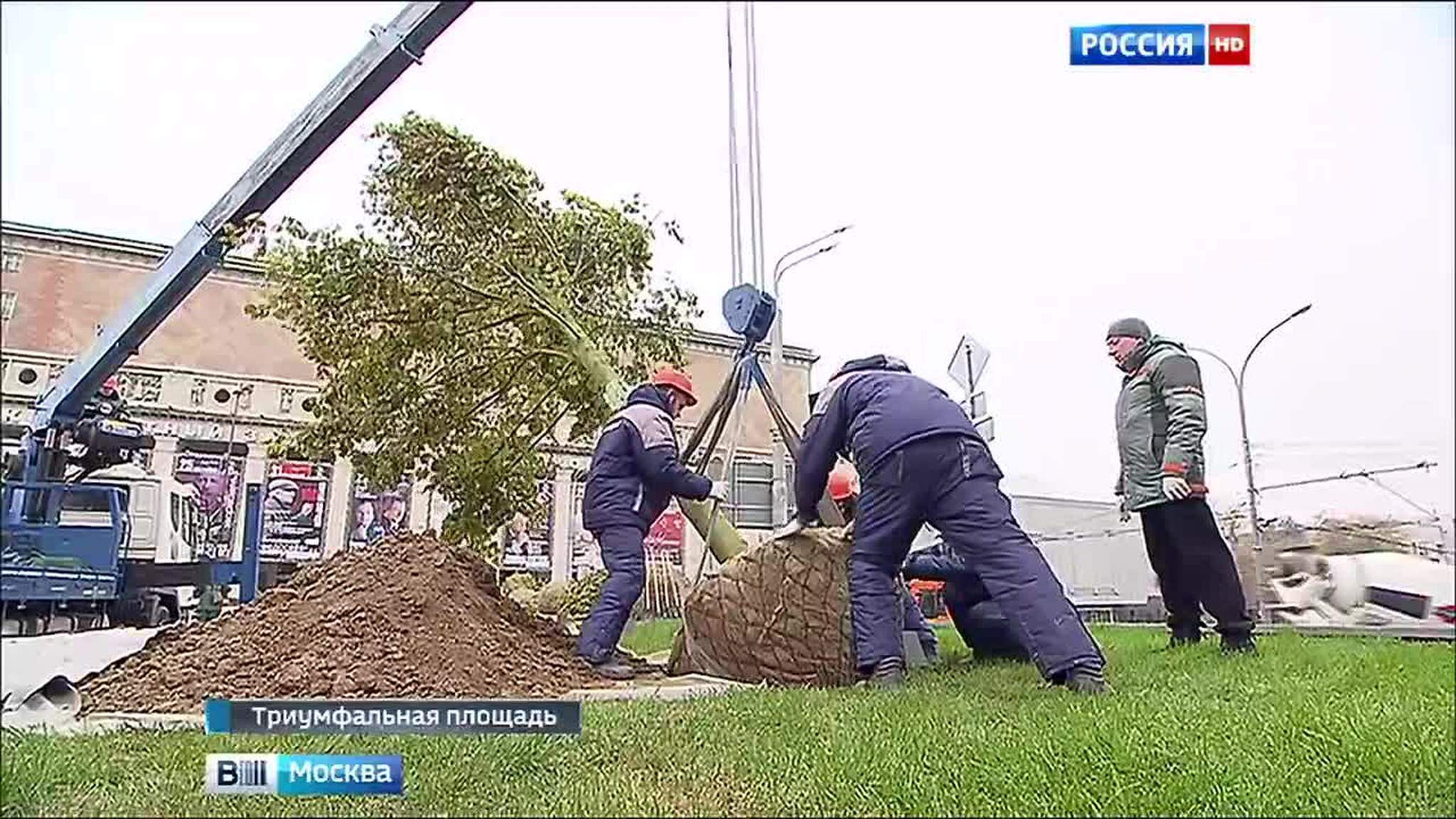 "Активные граждане" озеленили центр Москвы