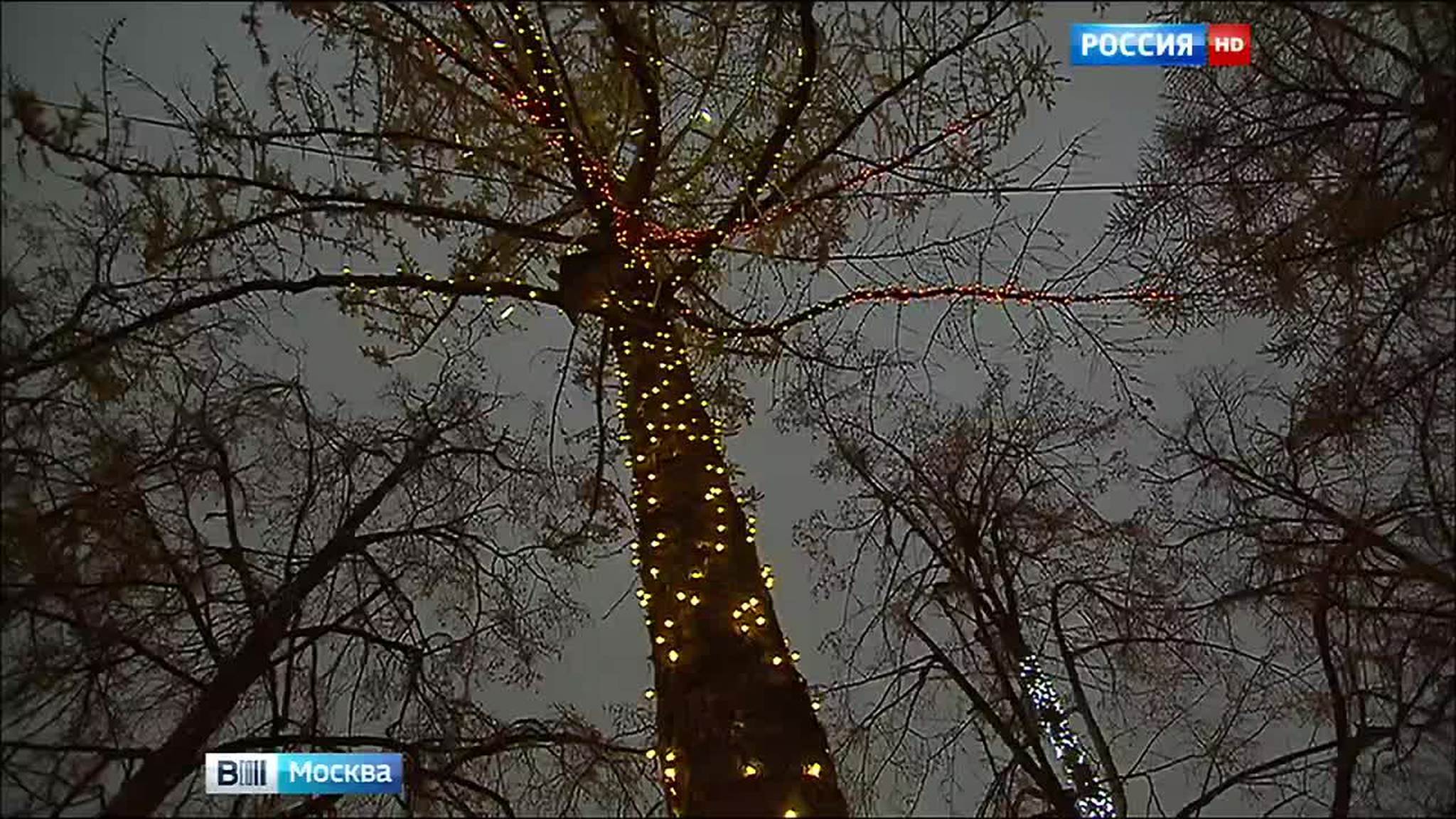 В Москве включили зимнюю подсветку