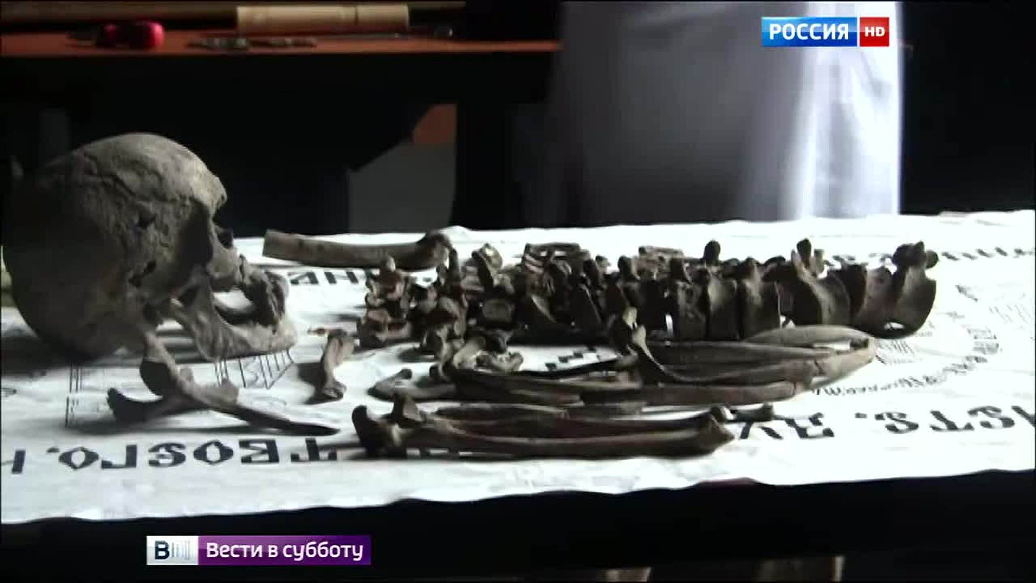 Специальный выпуск. Эфир от 14.11.2015