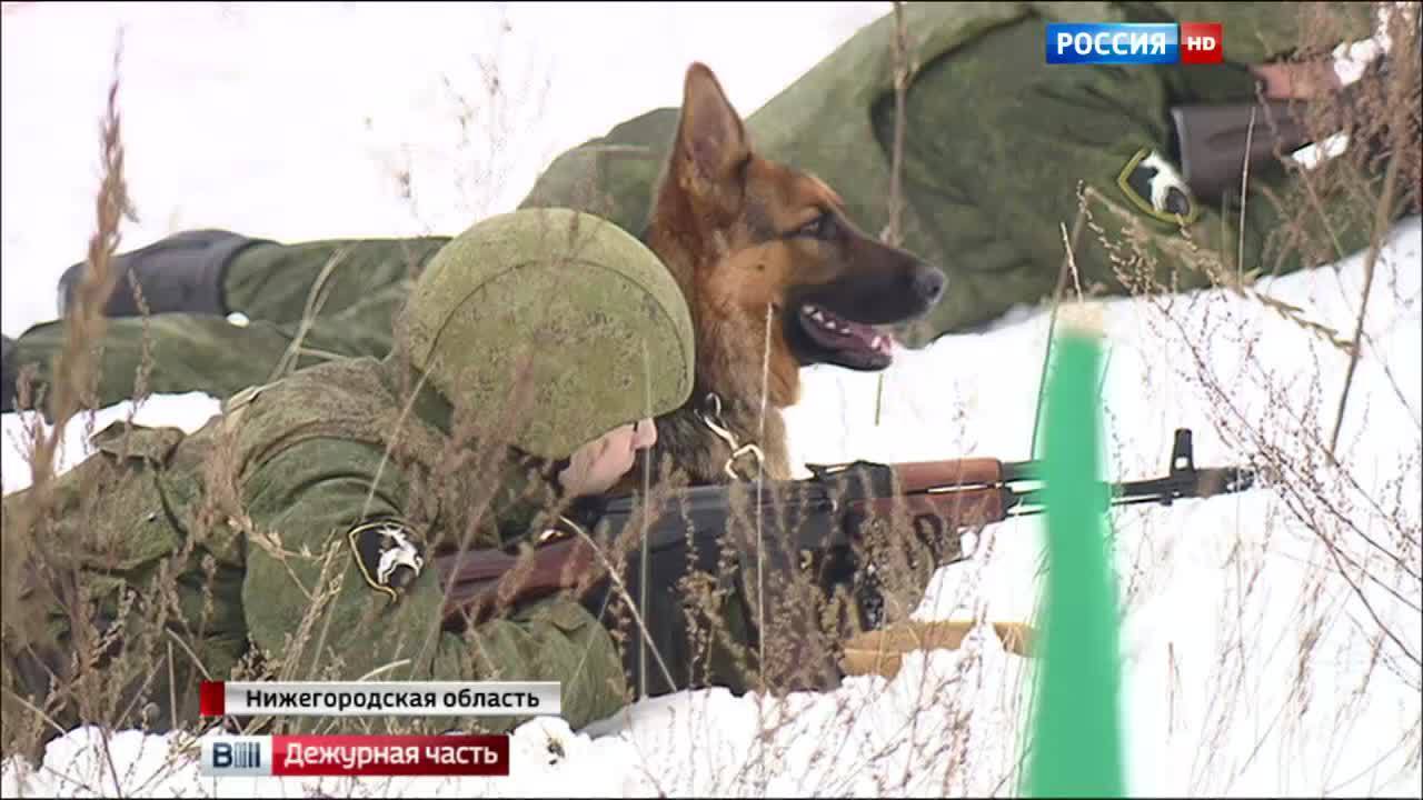 Эфир от 27.11.2015