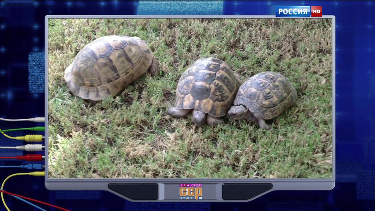 Эфир от 29.11.2015