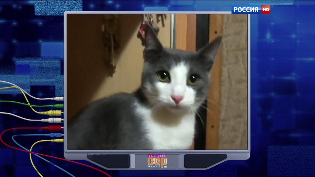 Эфир от 06.12.2015
