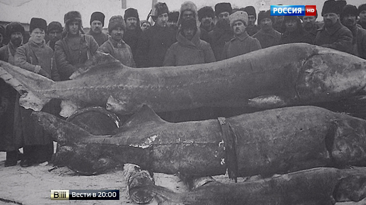 Эфир от 18.12.2015