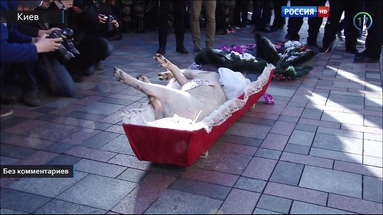 Эфир от 24.12.2015 (17:00)