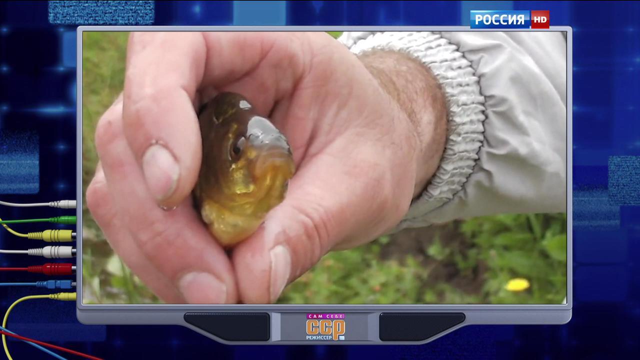 Эфир от 27.12.2015