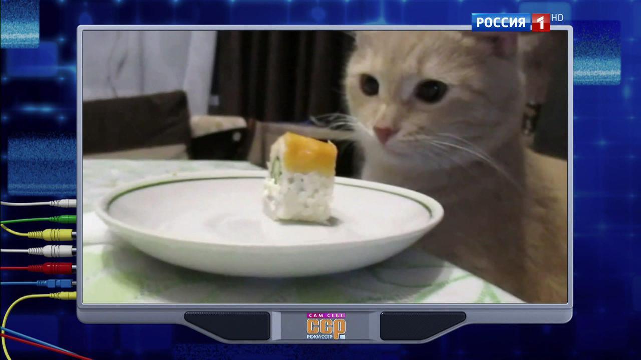 Эфир от 20.11.2016