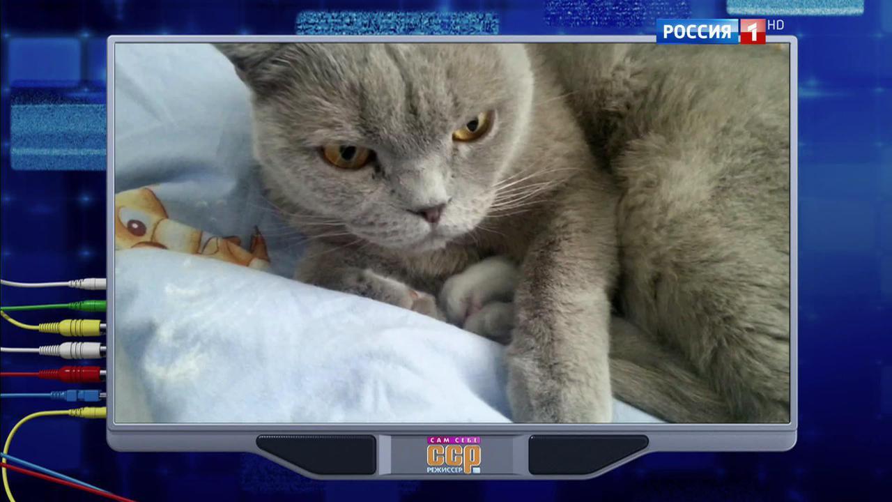 Эфир от 27.11.2016