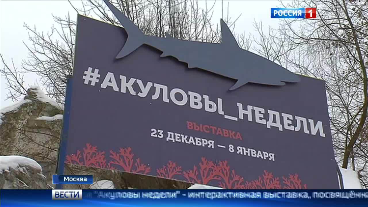 Эфир от 24.12.2016