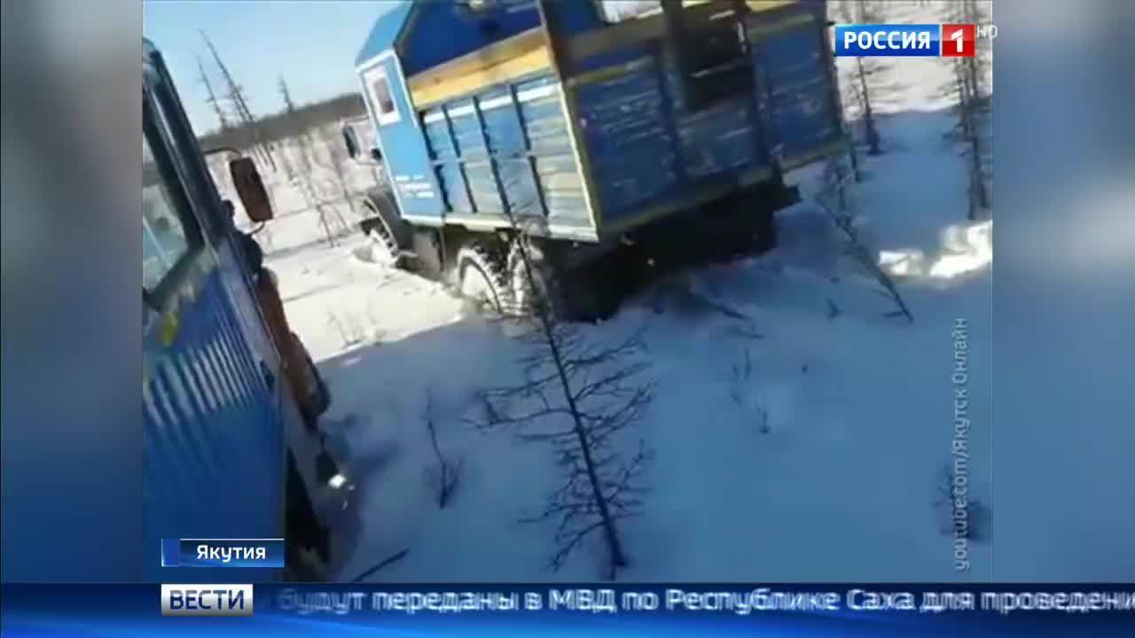 В Якутии вахтовики намеренно раздавили медведя "Уралами"