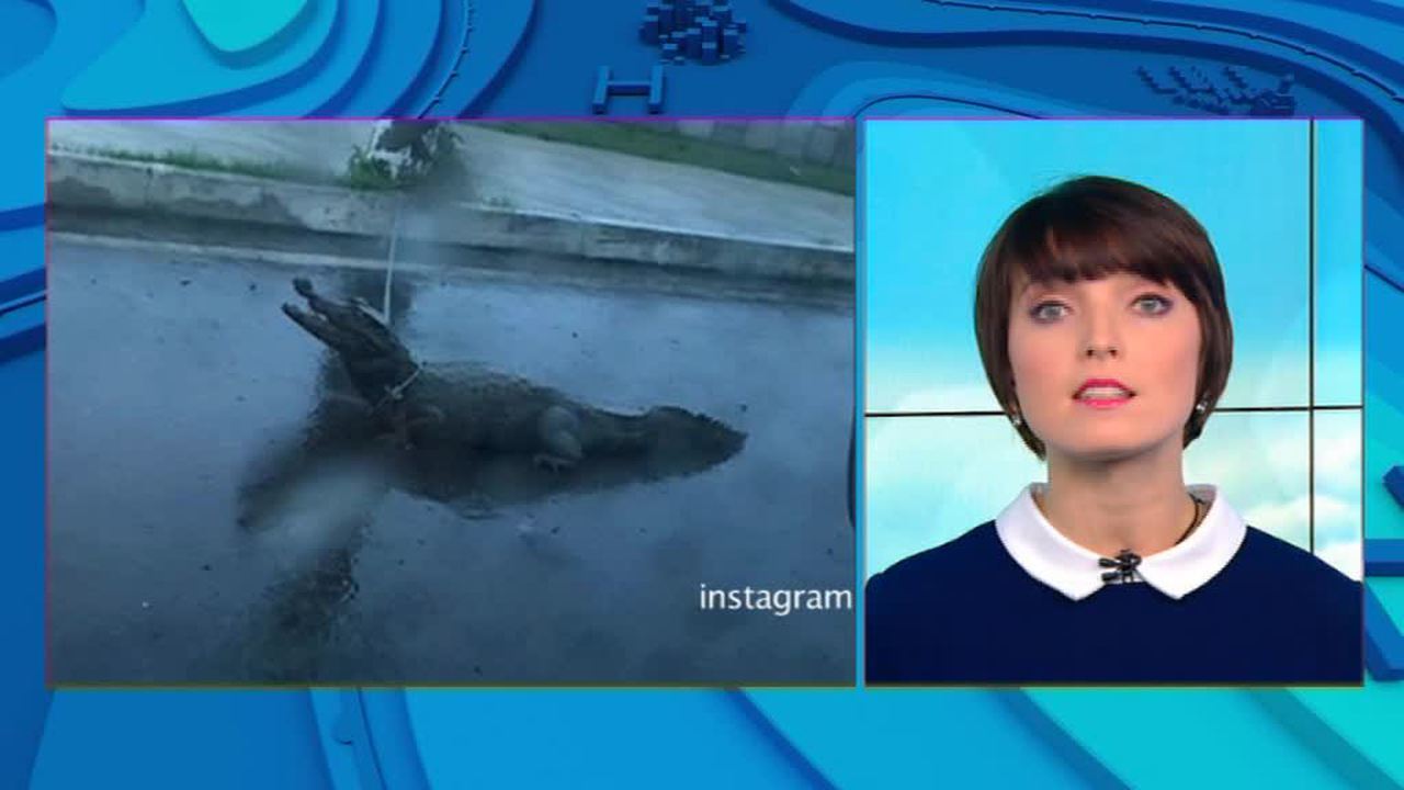 Эфир от 28.12.2016