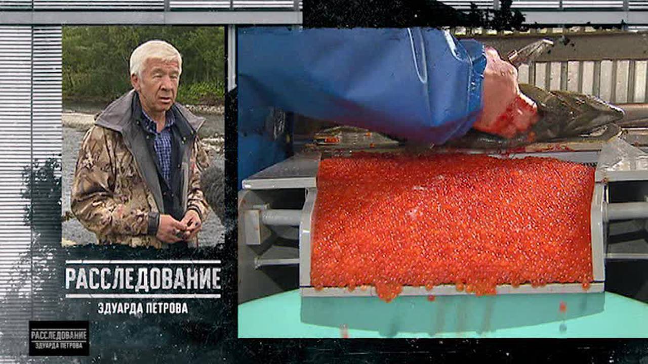 Последний нерест