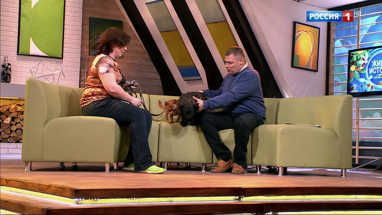 Эфир от 22.04.2017