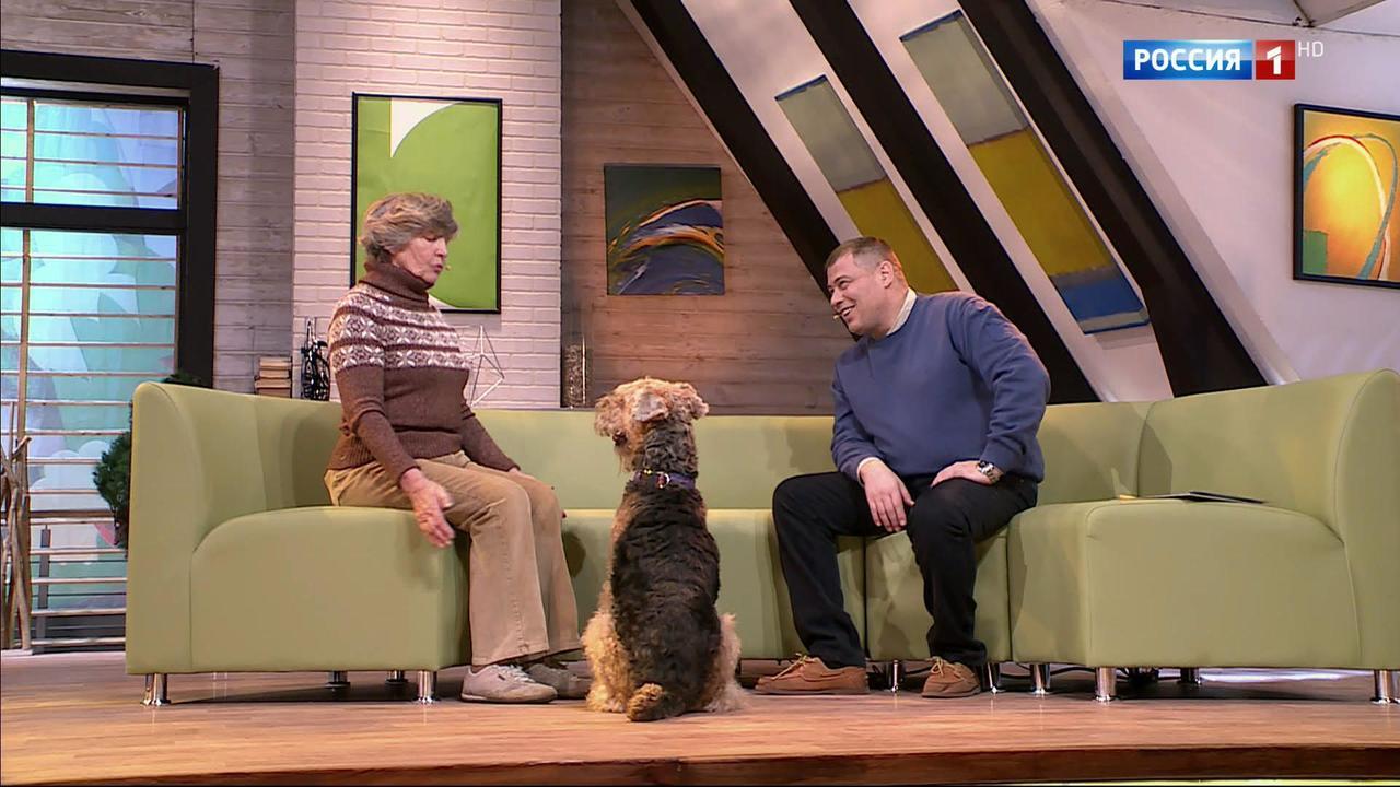 Эфир от 29.04.2017
