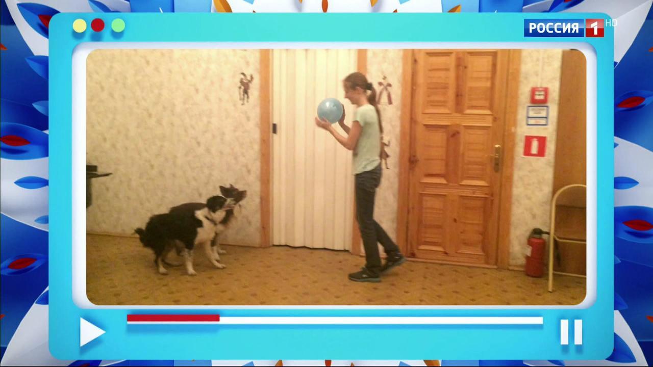 Эфир от 01.07.2017
