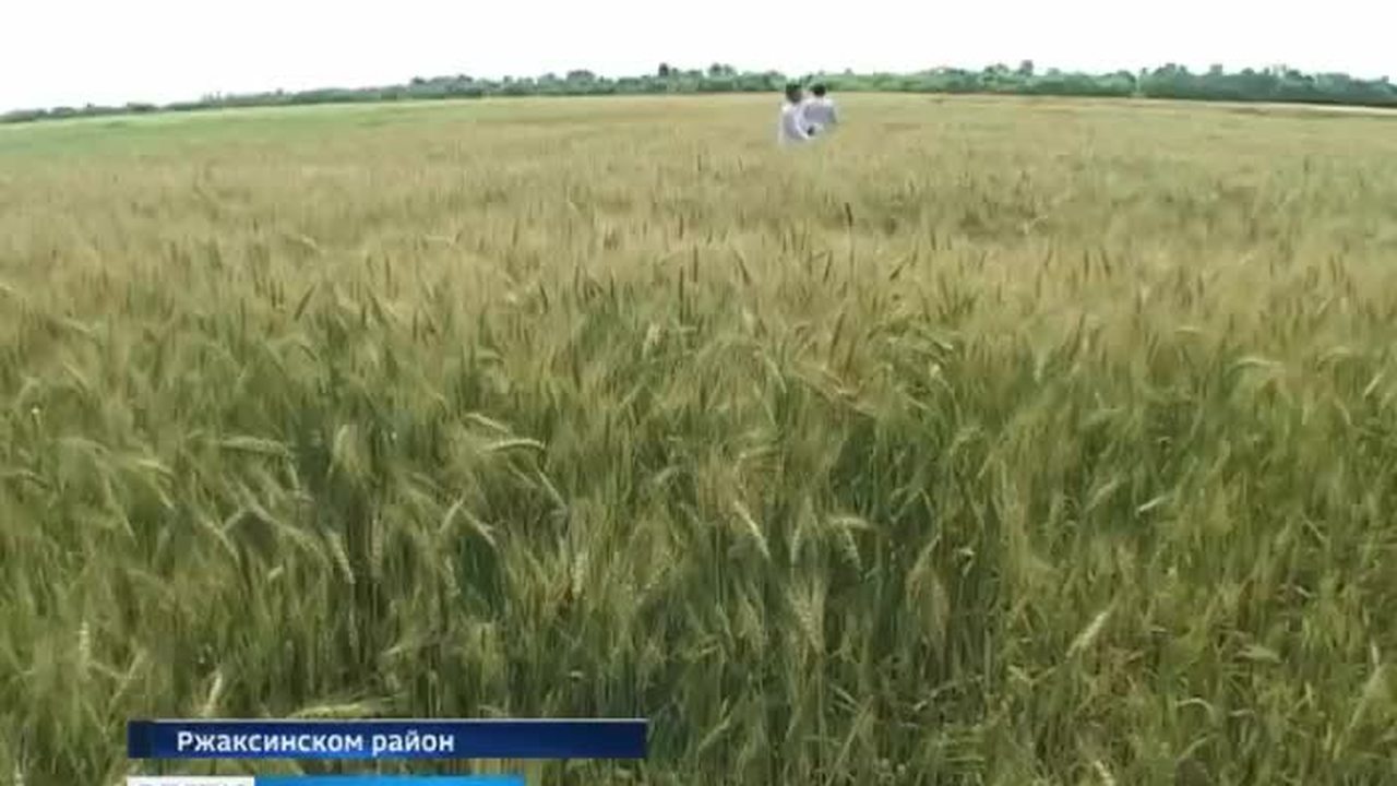 Эфир – 30.07.2017