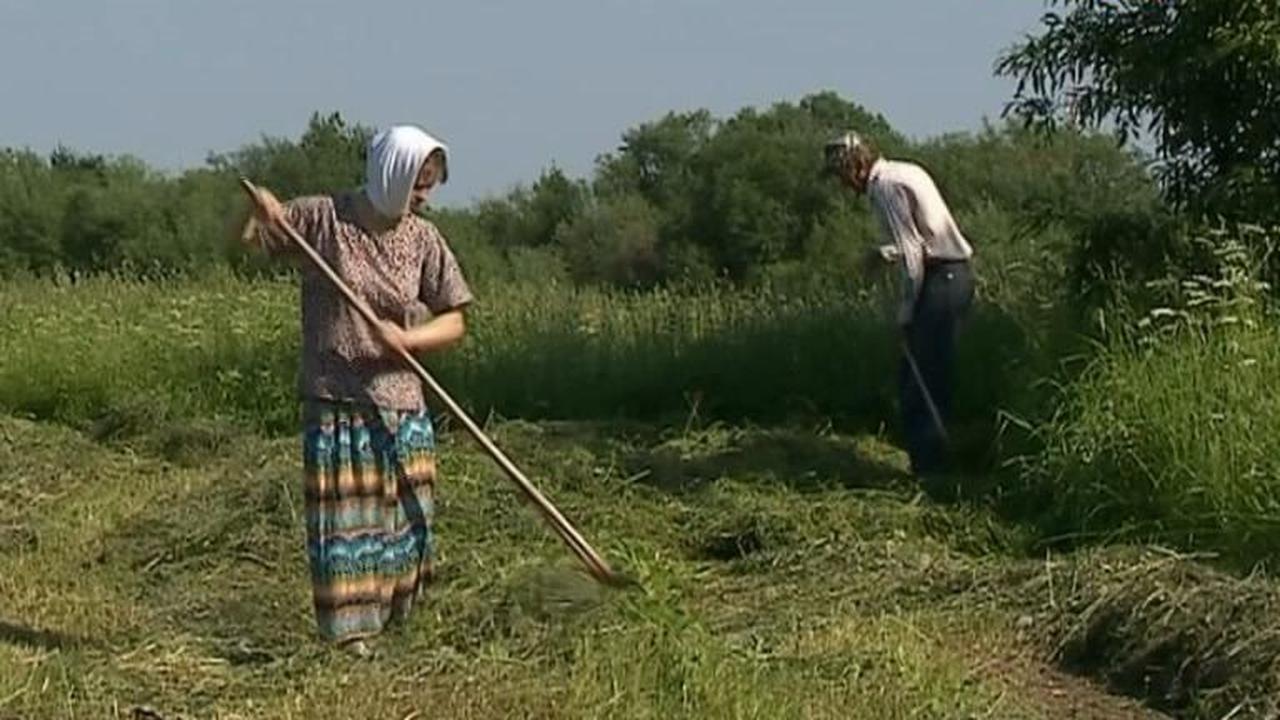 Село Сура (Архангельская область)