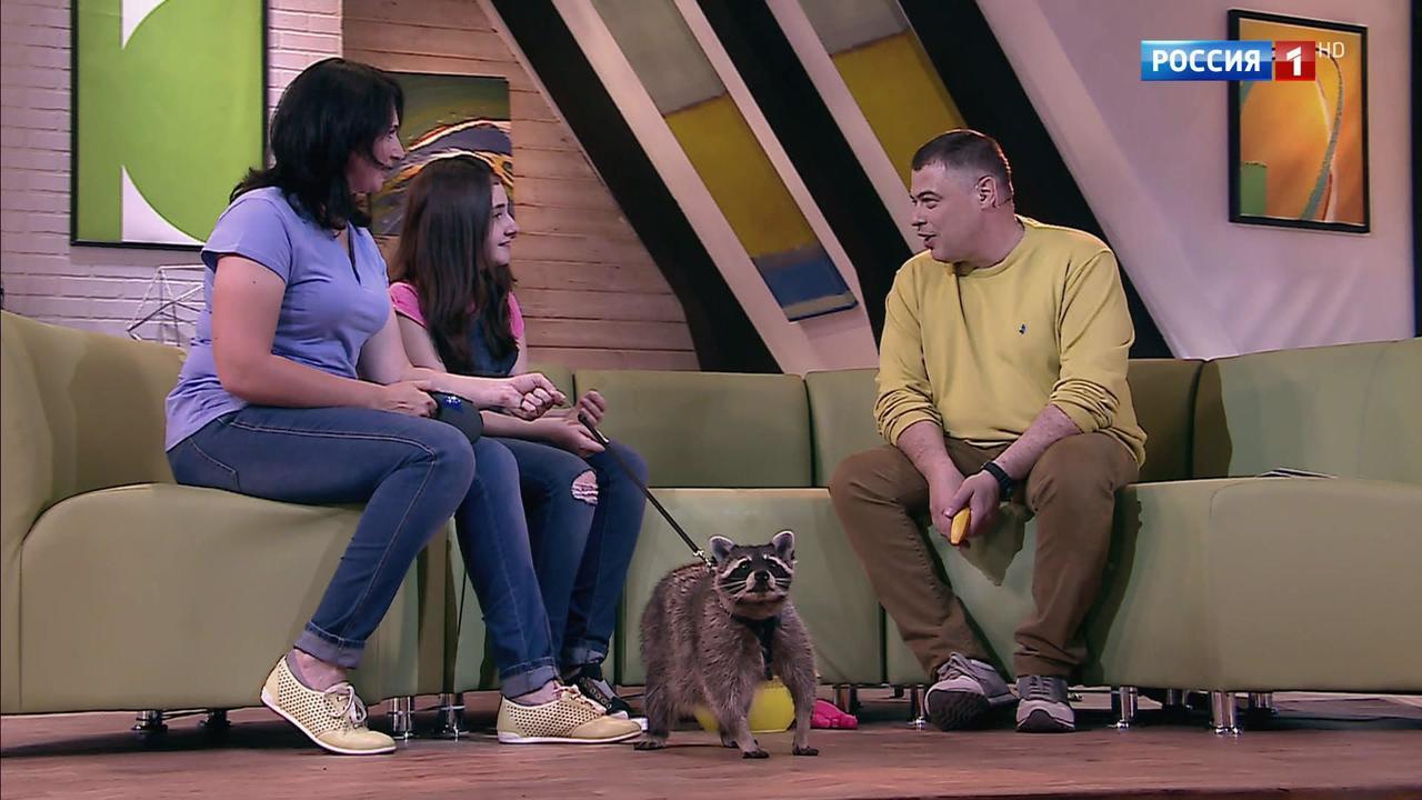 Эфир от 18.11.2017