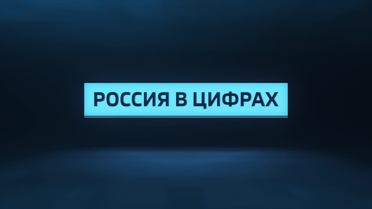 Россия в цифрах. Сколько должников не смогут выехать из страны