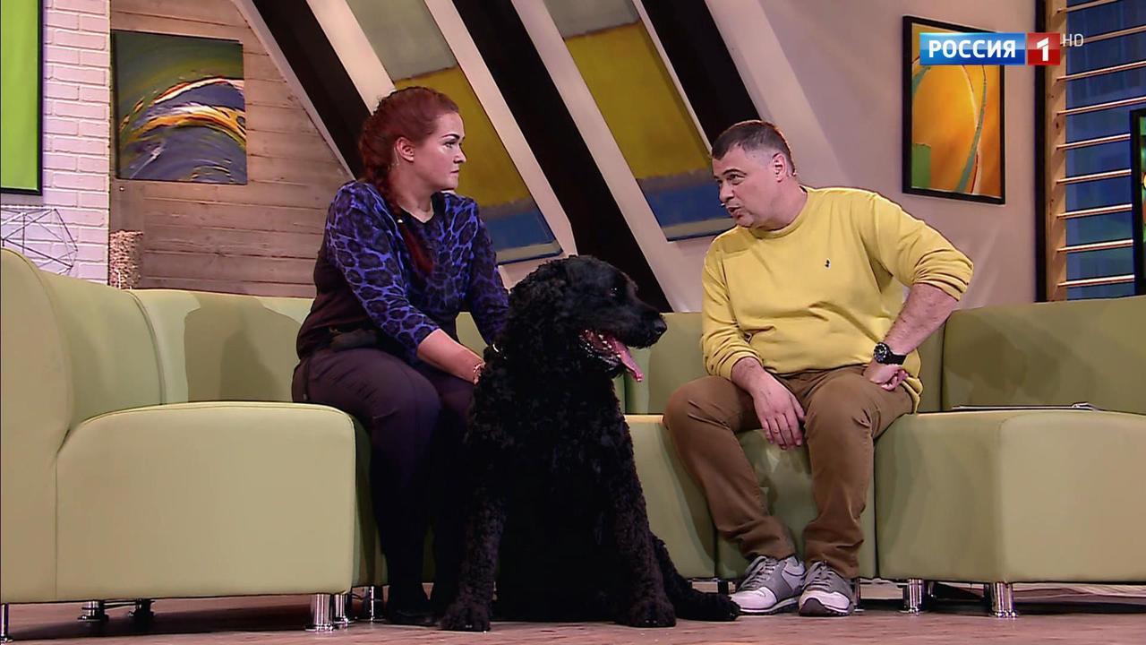 Эфир от 23.12.2017