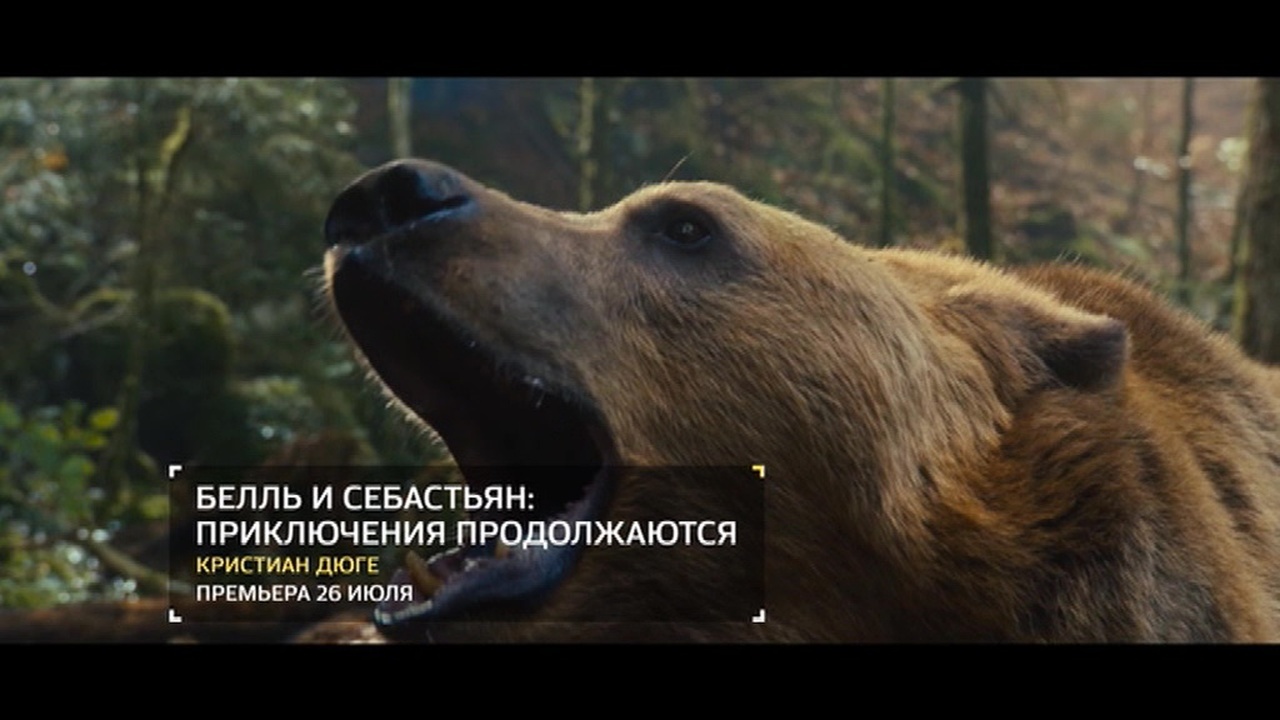 Эфир от 04.08.2018