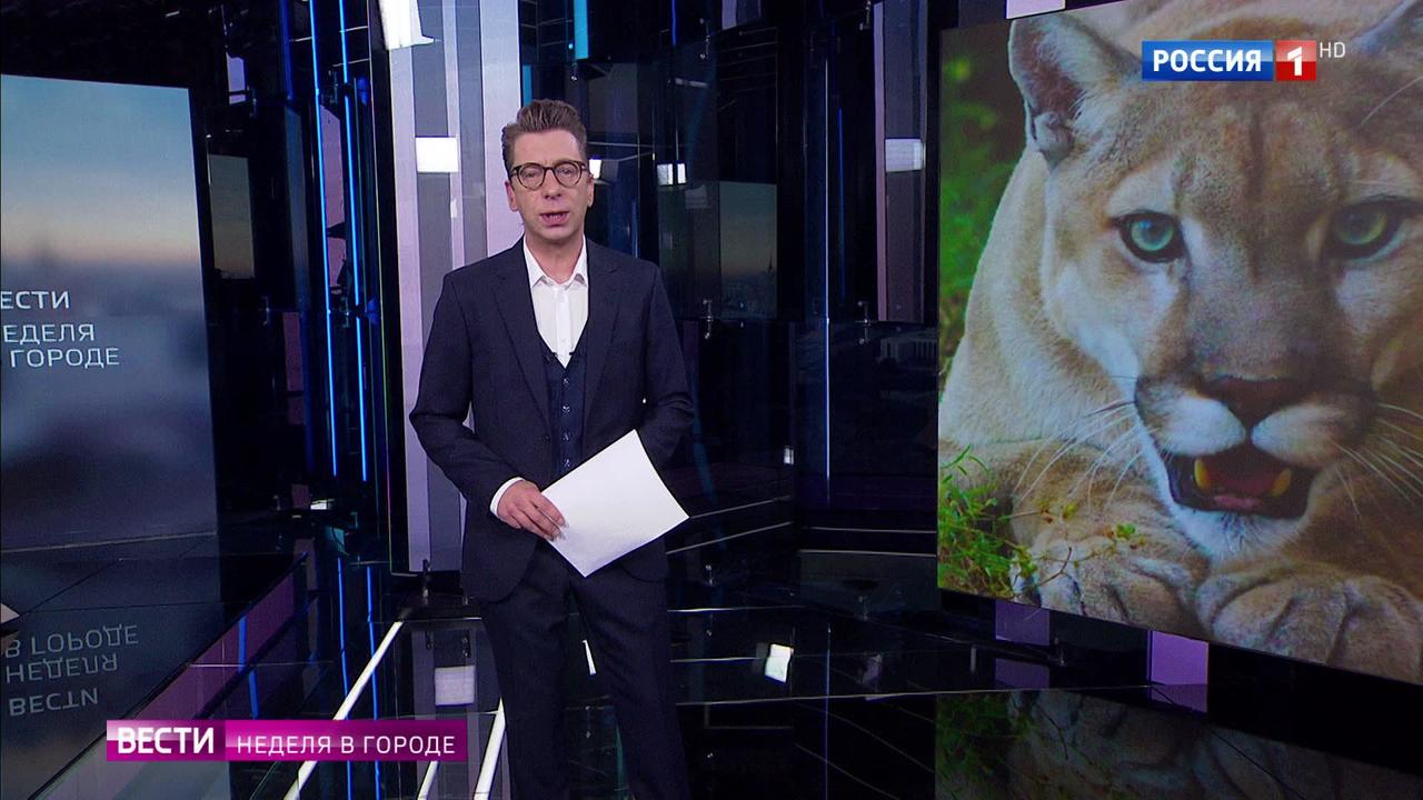 Эфир от 07.10.2018