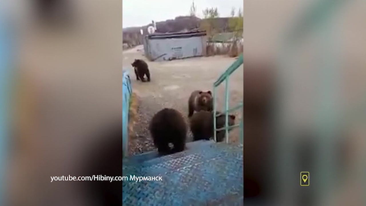 Эфир от 13.10.2018