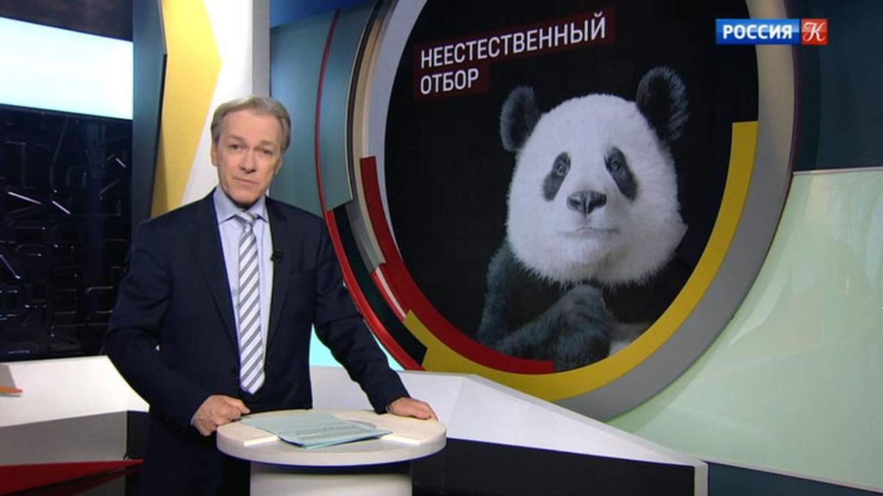 Эфир от 21.10.2018 (19:30)