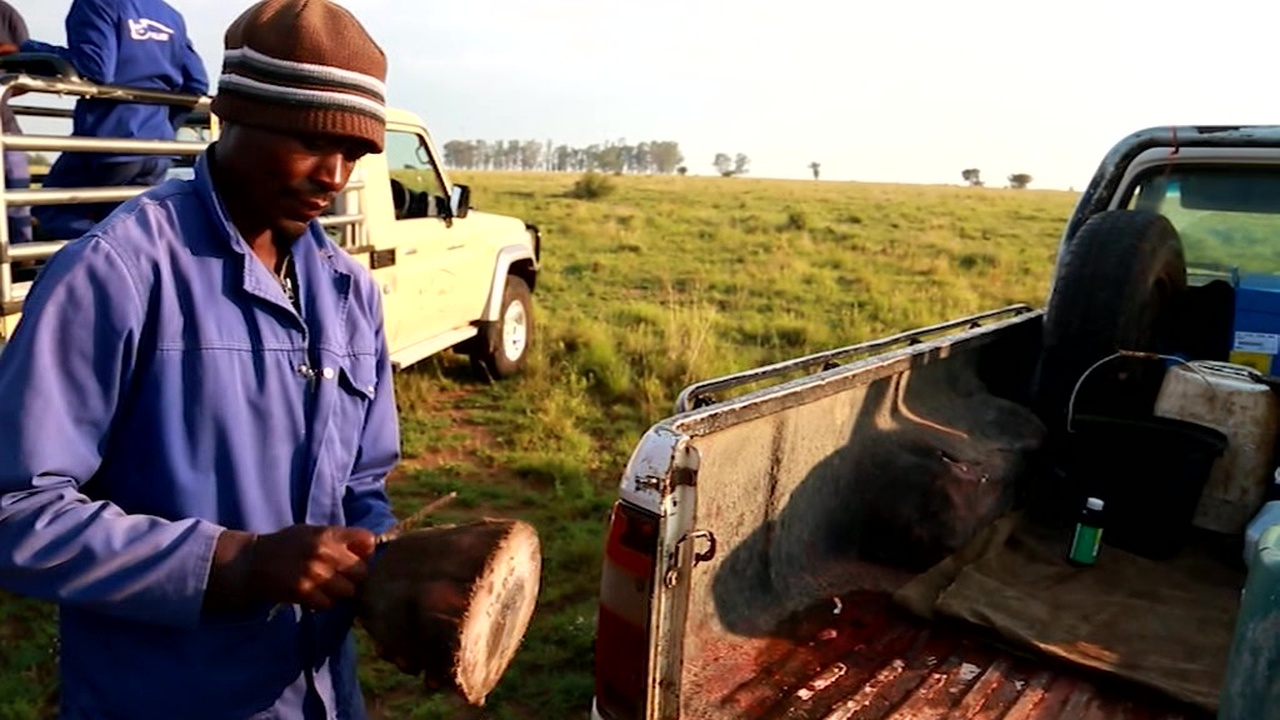 Эфир от 16.11.2018