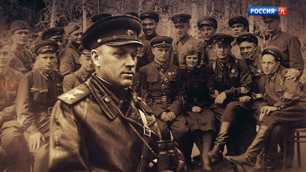 19-25 ноября