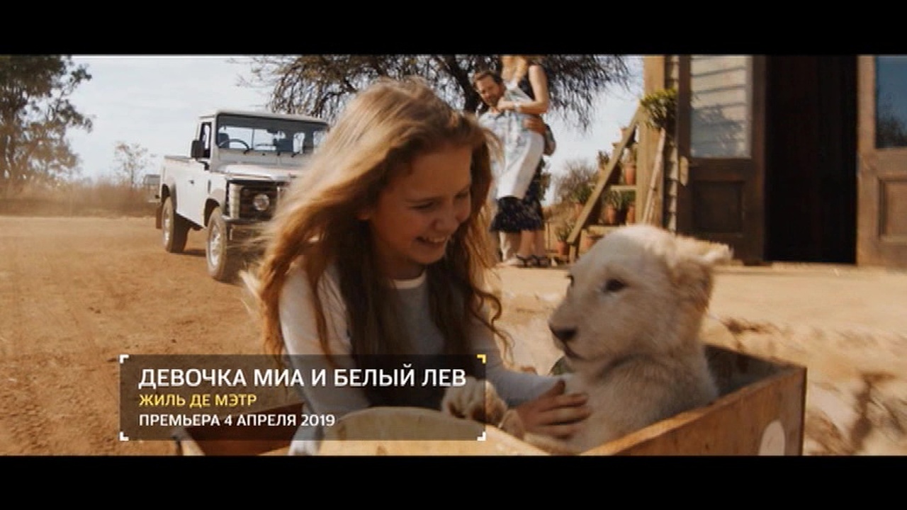 Эфир от 08.12.2018