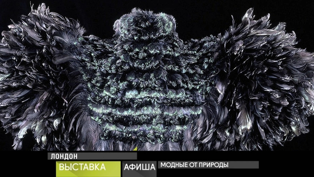 25 декабря 2018 года