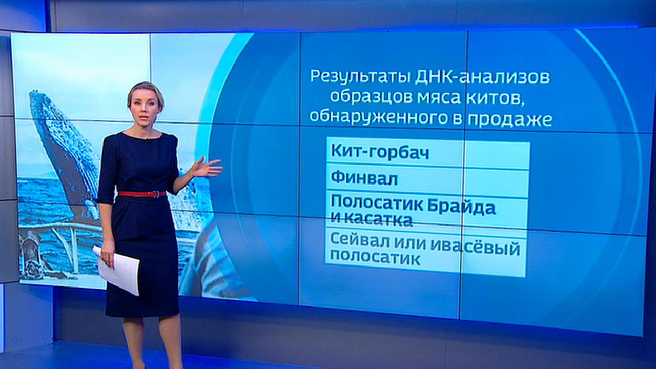 Эфир от 26.12.2018
